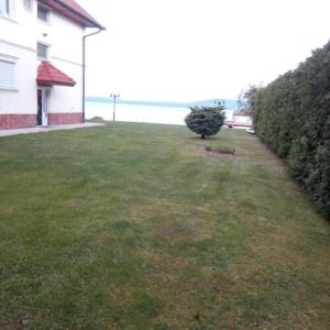 a grassy yard with a house and a bush at Szentmihályi apartman in Balatonboglár