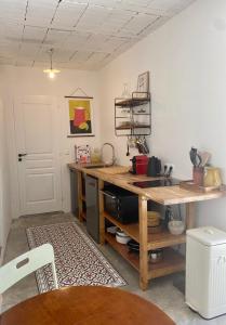 kuchnia z drewnianym stołem i blatem w obiekcie Gîte Le Palmier - Perfectly located cosy studio with private garden w mieście Puissalicon