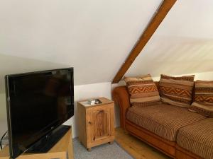 TV a/nebo společenská místnost v ubytování Roubenka Dolní Rokytnice