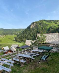 a group of picnic tables in a field with a mountain at Zlatna koliba Namir Zuka in Fojnica