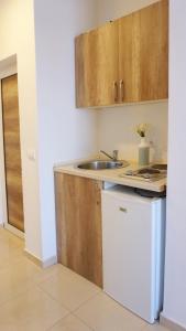 a small kitchen with a sink and a dishwasher at Ponte Apartments in Ulcinj