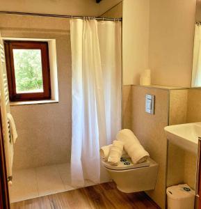 a bathroom with a toilet with a shower curtain at Recientemente restaurada, ideal para grupos! in Cabanellas