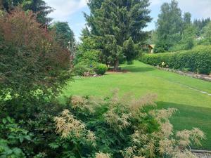 a garden with a large lawn with trees and bushes at Pension Eichhorn in Bayerisch Eisenstein