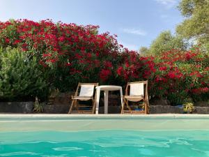 The swimming pool at or close to Hotel Villa Campana