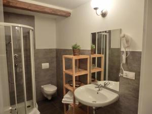 uma casa de banho com um lavatório, um WC e um chuveiro em Dvůr Stráň em Karlovy Vary