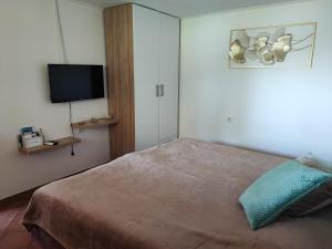 a bedroom with a bed and a flat screen tv at Apartman Dunav in Aljmaš