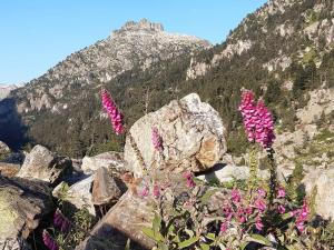 Billede fra billedgalleriet på Appartement 2 pièces au centre de Cauterets - 4 pers - FR-1-234-148 i Cauterets