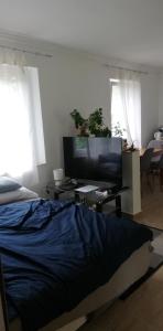 TV a/nebo společenská místnost v ubytování Little Zen House