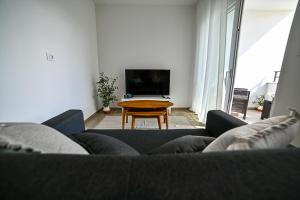 TV a/nebo společenská místnost v ubytování Apartment Perlitto