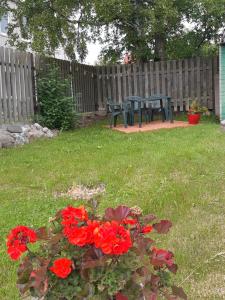einen Hof mit einem Tisch und roten Blumen und einem Zaun in der Unterkunft Dzìvoklis pie jùras in Ventspils