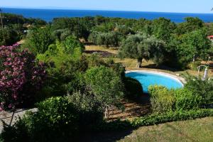 a swimming pool in a garden with the ocean in the background at Villa Monte Kariotes in Samothráki
