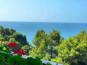 Φυσικό τοπίο κοντά σε αυτό το ξενοδοχείο