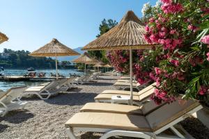 a row of lounge chairs and umbrellas on a beach at Alesta Residence in Fethiye