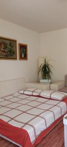 Ένα ή περισσότερα κρεβάτια σε δωμάτιο στο BranySol Apartman +13 φωτογραφίες