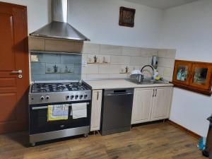 a kitchen with a stove and a sink at Izvorul Maleii in Petrila