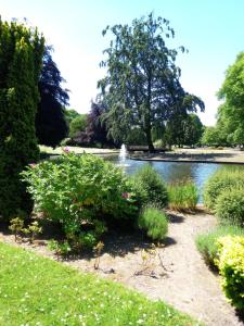 a garden with a fountain in the middle of a lake at The Old Barn in Buxton