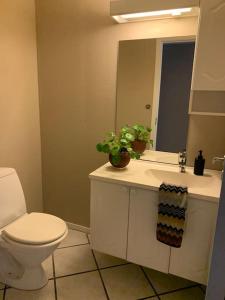 uma casa de banho com um WC e um lavatório com um espelho. em Sentrumsnær leilighet med 3 soverom. em Bergen