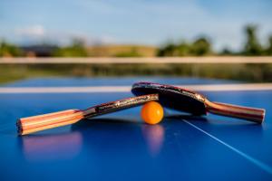 Tenis alebo squash v ubytovaní Apartmány Kraš alebo jeho okolí