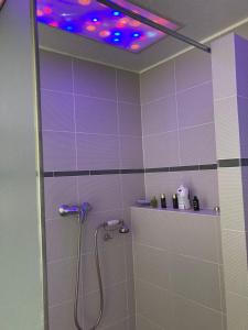 y baño con ducha y techo púrpura. en Casale Mavianda, en San Lorenzo Nuovo
