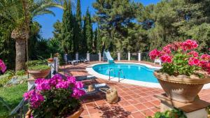 basen z kwiatami w garnkach obok dziedzińca w obiekcie Villa Isabel Malaga - Churriana by Ruralidays w Maladze