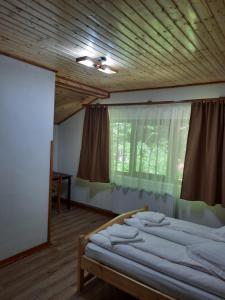 a bedroom with two beds and a window at Izvorul Maleii in Petrila