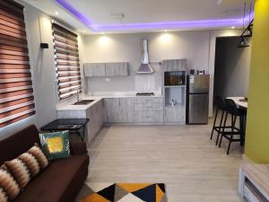a living room with a couch and a kitchen at Nivi Cosy Appartment in Flic-en-Flac
