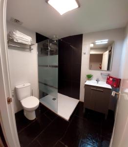 La salle de bains est pourvue de toilettes, d'un lavabo et d'une douche. dans l'établissement Apartamentos La Atalaya, à Olite