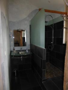 łazienka z umywalką i prysznicem w obiekcie Le Clos de La Pinsonnière w mieście Vaudelnay