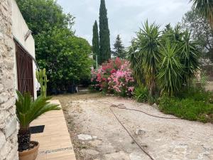 ラ・シオタにあるClos Des Plages Maison De Vacancesの地下に植物とホースを植えた庭園