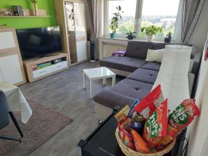ein Wohnzimmer mit einem Sofa und einem TV in der Unterkunft Boutique-Apartment-Scherer in Duisburg