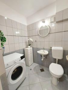 Koupelna v ubytování Apartman Anna + 19 fotografií