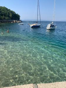 Príroda v okolí apartmánu