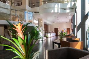 Posezení v ubytování Hotel Ibersol Atrio del Mar