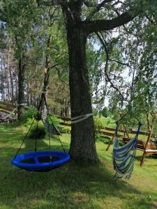 Vonkajšia záhrada v ubytovaní Zagroda nad Hańczą