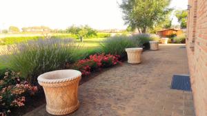 Assisium Agriturismo外面的花园