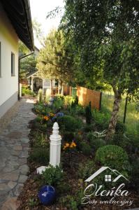 a garden with a white fire hydrant in a yard w obiekcie Dom Oleńka- Kaszuby, weekend, wakacje, sauna, jacuzzi, jezioro w mieście Garcz