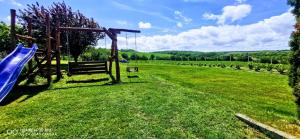 un parque infantil en un campo con tobogán en Kukucs Etyek Dézsafürdő Vendégház, en Etyek