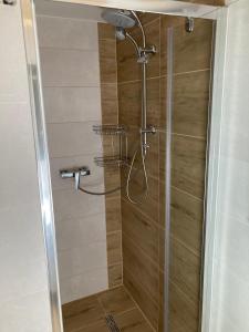 a shower with a glass door in a bathroom at Chalupa Nella II. in Velké Karlovice