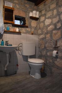 a bathroom with a white toilet and a sink at Rent House Orahovo in Virpazar