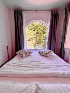 a bedroom with a large bed with a window at Cabana Ana in Iloviţa