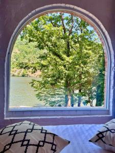 an arched window with a view of a tree at Cabana Ana in Iloviţa