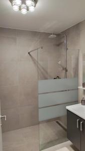 a bathroom with a glass shower and a sink at Apartment Ozare in Slovenj Gradec