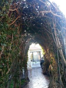 an archway covered in ivy in a garden at B&B Il Sentiero in San Sperate