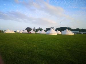 a group of white tents in a field of grass at Nine Yards Bell Tents at the TT in Castletown