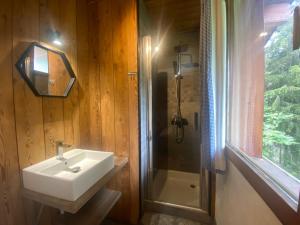 un bagno con lavandino e doccia di Chalet 6 chambres avec jacuzzi et parking, La Tania - FR-1-513-72 a La Tania