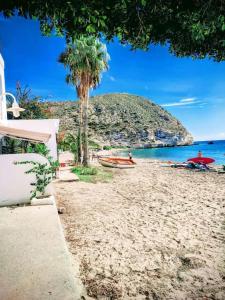 a beach with a tree and water and a hill w obiekcie Bohemian 2 bed Apartamento Amarillo w mieście Agua Amarga