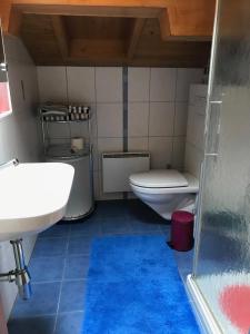 a bathroom with a white toilet and a sink at Becca Miedzo appartement in Le Châble