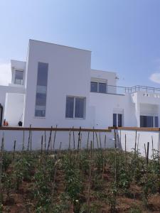 Gallery image of Villas Lago e Mare in Skála Alykís
