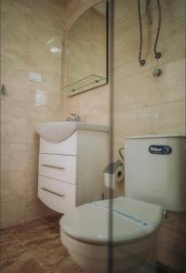 a bathroom with a toilet and a sink and a mirror at VILA PUPA , Elešec in Ohrid