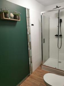 ein Bad mit einer Dusche und einer grünen Wand in der Unterkunft Apartament Szmaragdowy in Jelenia Góra